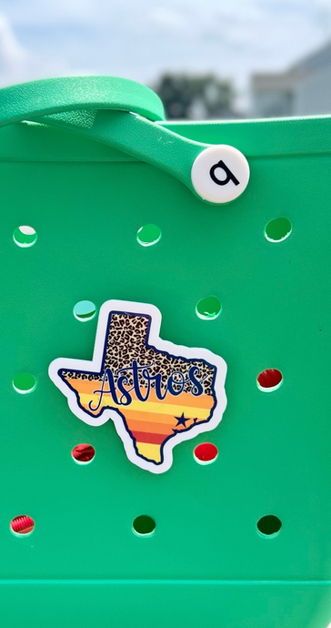 Astros Bogg Bit