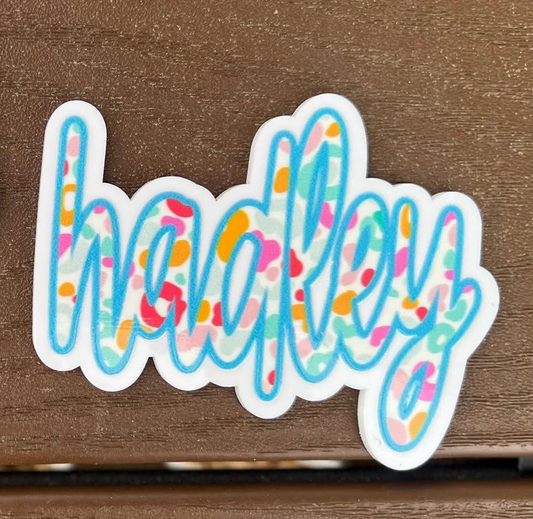 Blue w/ Rainbow Cheetah Name Bogg Bit