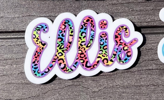 Purple/Rainbow Cheetah Bogg Bit